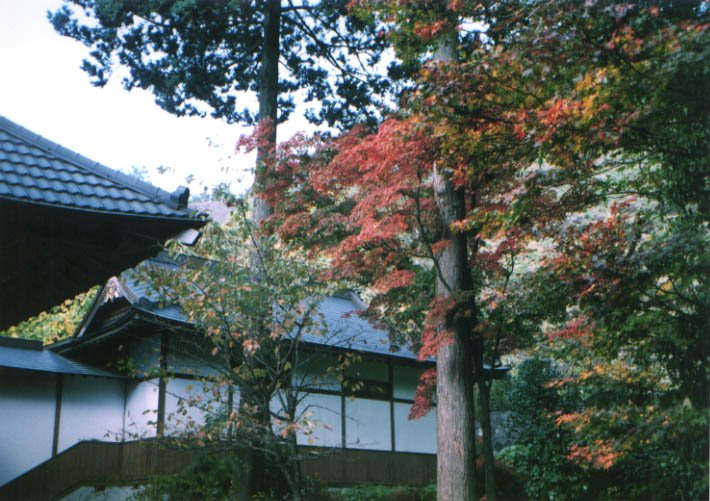 開山在天禅師をはじめ歴代住職、檀徒家の位牌堂を祠堂。
昭和五十五年（1980年）三十六世玉光智龍大和尚代再建。